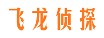 凤城侦探